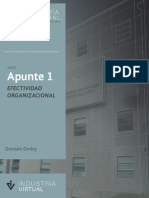 Apunte 1: Efectividad Organizacional