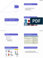 Biomolekul 1 Protein Peptida Asam Amino FF 2023