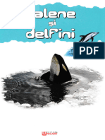 Enciclopedie Balene Si Delfini
