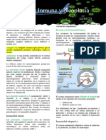 Clase 2 Resumen