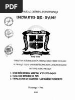 DIRECTIVA N° 013-ELABORACION DE PLANES DE TRABAJO