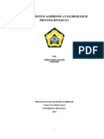 Tugas - Widia Haryansanti - E2d022009 - Analisis Sistem Agribisnis Ayam Broiler Di Provinsi Bengkulu