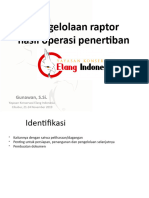 Pengelolaan Elang