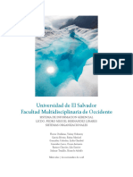 Sistemas de Informacion Gerencial PDF