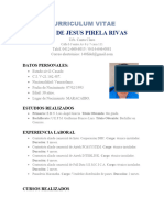 Curriculum Vitae 2