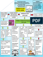 Esquema Procesal Laboral Juicio Practicas