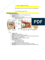 Tema 4. Fisiología de La Visión