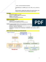 Tema 2. Sistema Nervioso Sensorial