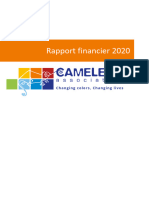 Rapport Financier 2020