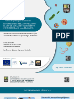 Enfermedades Hidricas Por Ausencia de Sistemas Gestion para La Calidadd Del Aguas - Generalidades