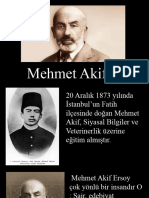 MehmetAkifErsoy