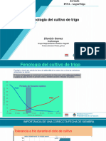 7 - DIONISIO - ArgenTrigo 2019