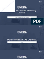 Derecho Procesal Laboral Definiciòn Caract. Principios