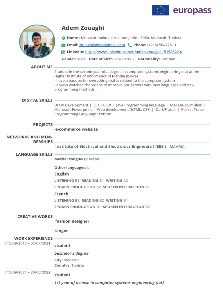 CV+ +Adem+Zouaghi+ | PDF | Information Technology | Software Engineering