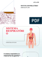 Aula 028 - Sistema Respiratorio - Estrutura e Funcao