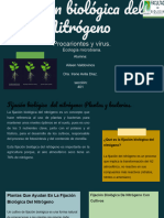 Ecología Microbiana - Fijación Biologíca Del Nitrógeno - AV - 2110671D