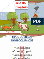 Ciclos Biogeoquímicos - Ciclo Do Nitrogênio
