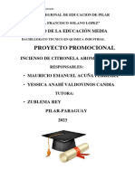 Proyecto Incienso de Emanuel