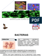 Bacterias Una Puno-1