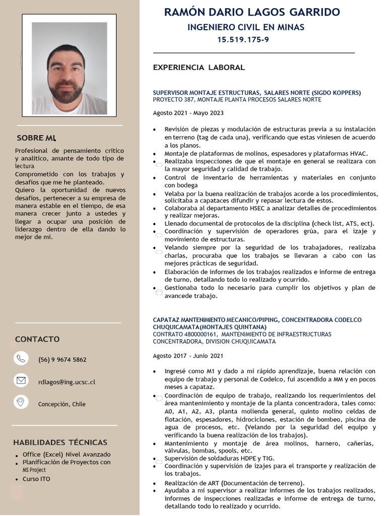 Ingeniero Civil en Minas: Experiencia y Habilidades | PDF