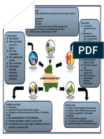 Actividad 1