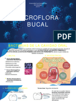 Microflora Bucal