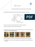 Taller 3. Ciclo Celular-1