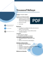 CV Youssouf Ndiaye