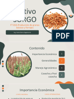 PresentaciónSorgo UnidadIII