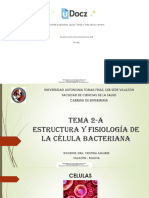 2a Estructura Celula Bacteriana PDF 431332 Downloable 2841868