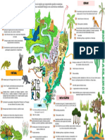 Mapa Mental - 4º Bimestre Geografia