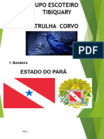 Grupo Escoteiro Tibiquary Pará