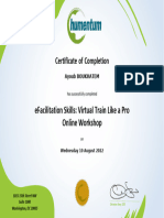 EFacilitation Skills - Virtual Train Like A Pro Online Workshop (IREX July 2022) EDT-Certificate