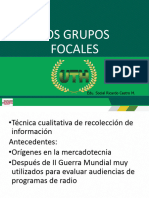 Grupo Focal