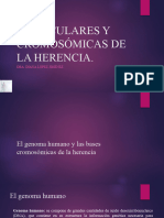 01bases Moleculares y Cromosómicas de La Herencia