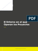 el entorno en el que operan los proyectos