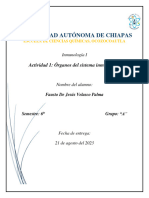 Órganos Del Sistema Inmunitario