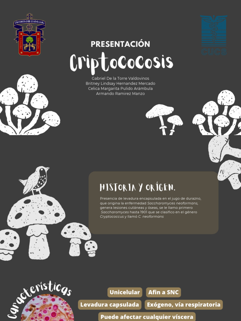 Presentación Criptococosis | PDF