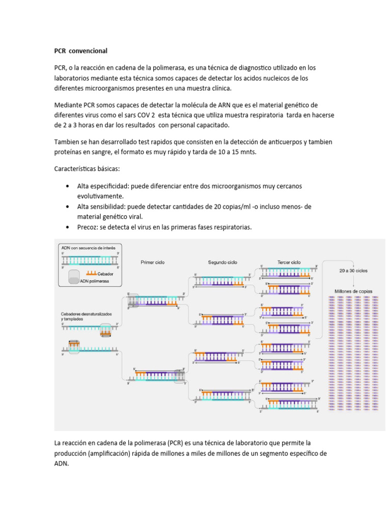 Tipos de PCR y sus aplicaciones | PDF | Reacción en cadena de la ...