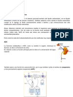 Fisiología - Martes 04 - 05