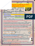 Ficha 29.-Cta-Avrill Godoy de La Cruz