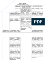 Formato de Matriz de Inducción