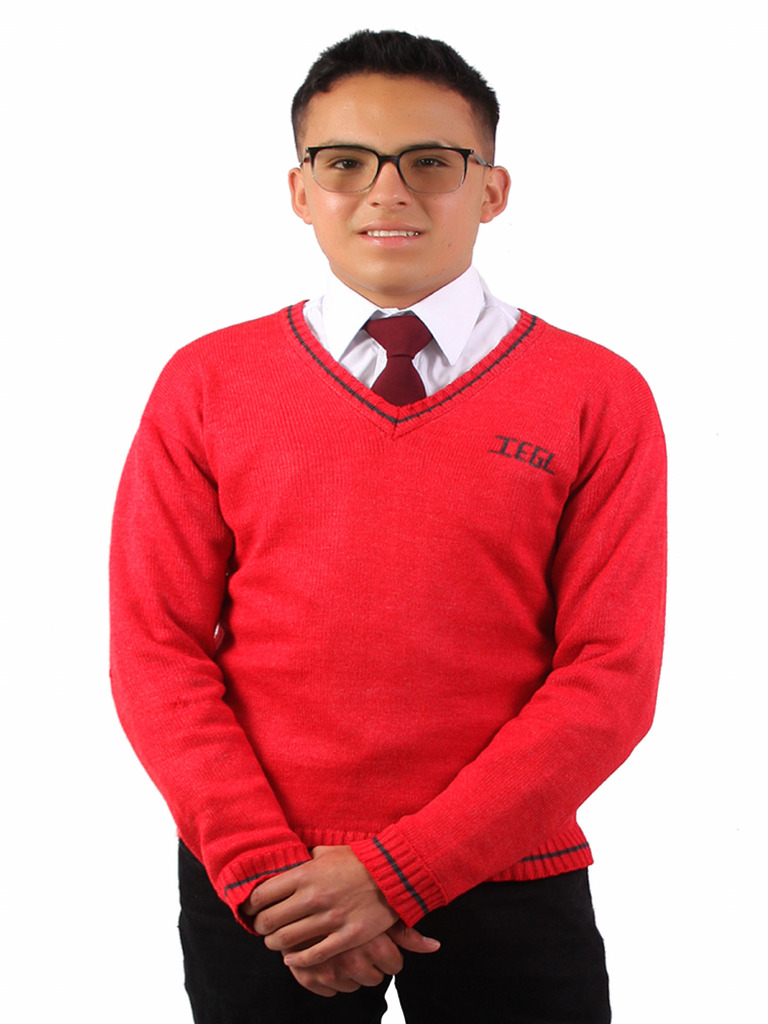 1 pdf