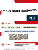 Ciclos Biogeoquimicos