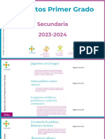 Proyectos Secundaria Primer Grado-1