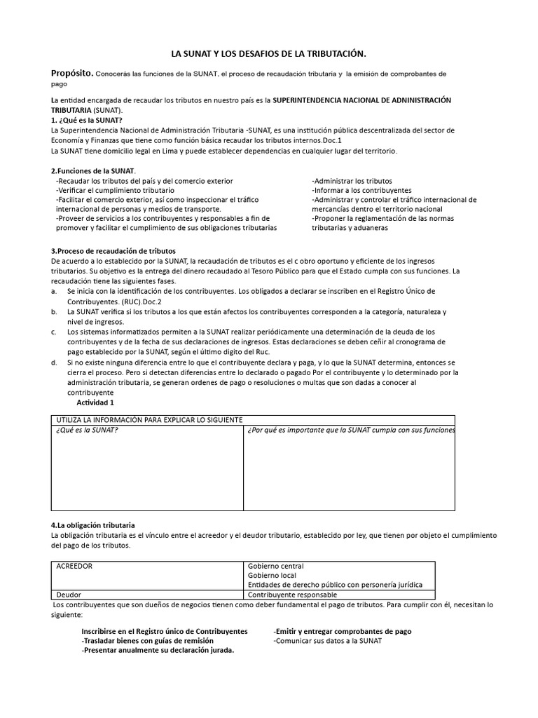 Desafíos de la SUNAT en Tributación | PDF | Pagos | Economias