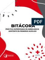 Bitácora de Práctica Supervisada Apa 2022-1