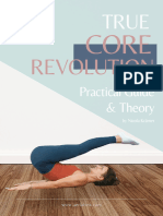 True Core Revolution Guide by @aerial - Playground - 061713