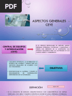 Funciones y áreas de la CEYE en enfermería | PDF | Enfermería | Hospital