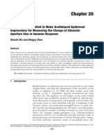 Nail Polish - Stomata - Method